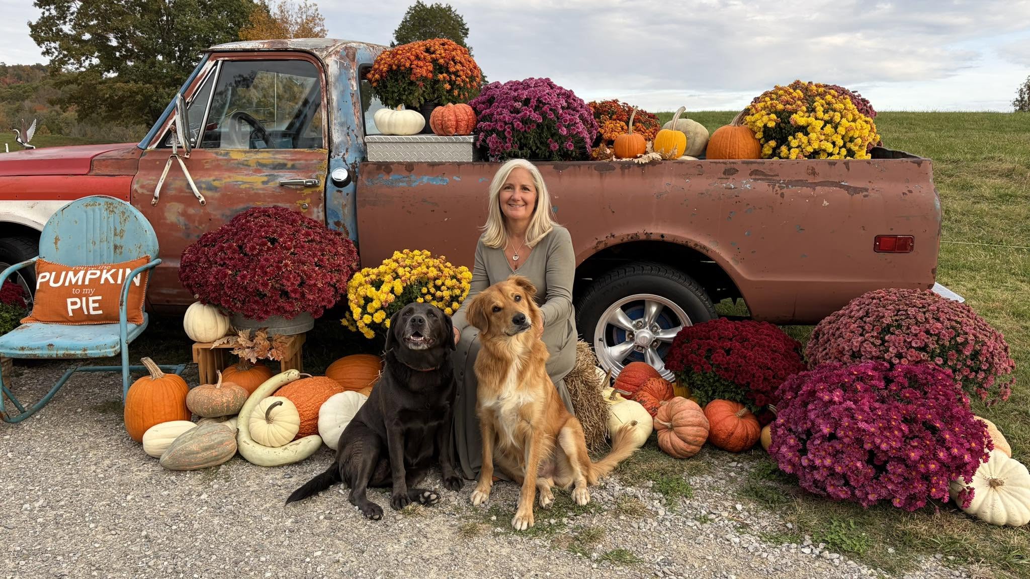 The owner of Cabin Hollow with her two dogs among mums and pumpkins by the vintage truck