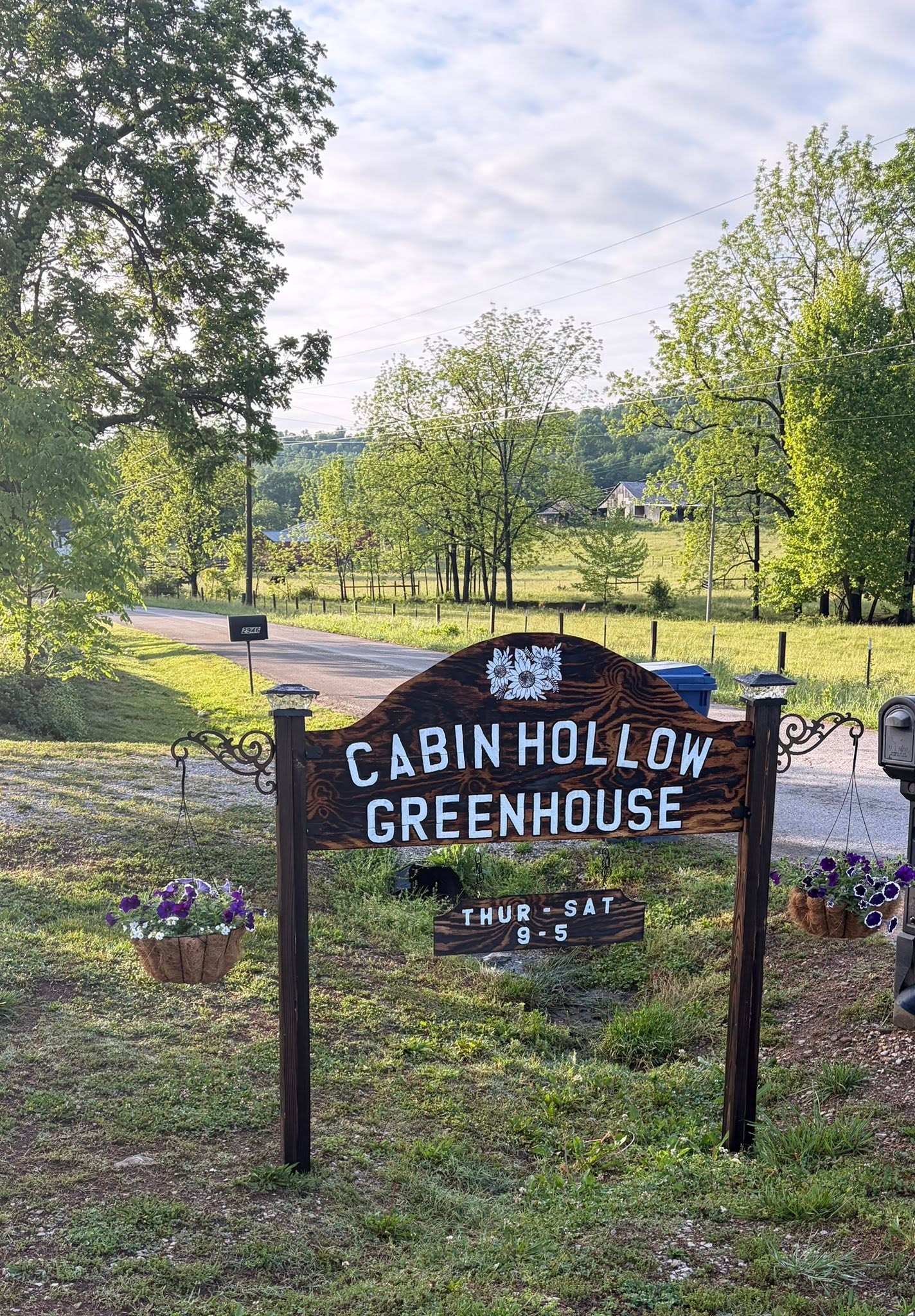 The hand-painted wooden Cabin Hollow Greenhouse sign at the roadside
